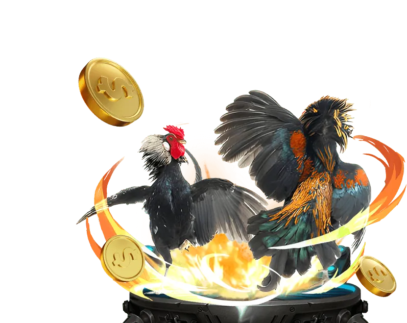 Cá cược Đá Gà kịch tính